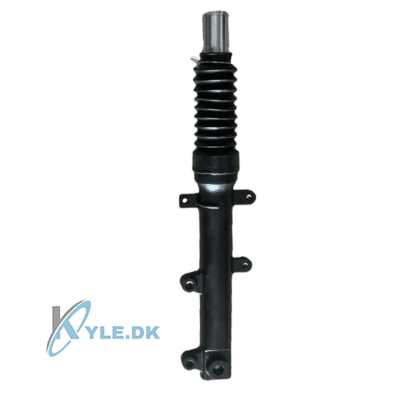 Rechtes Gabelbein Bach Cargo